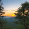 夕暮れの山中で木々に囲まれながら遠くの稜線を望む風景。 / A mountain view at sunset, surrounded by trees and overlooking distant ridgelines.